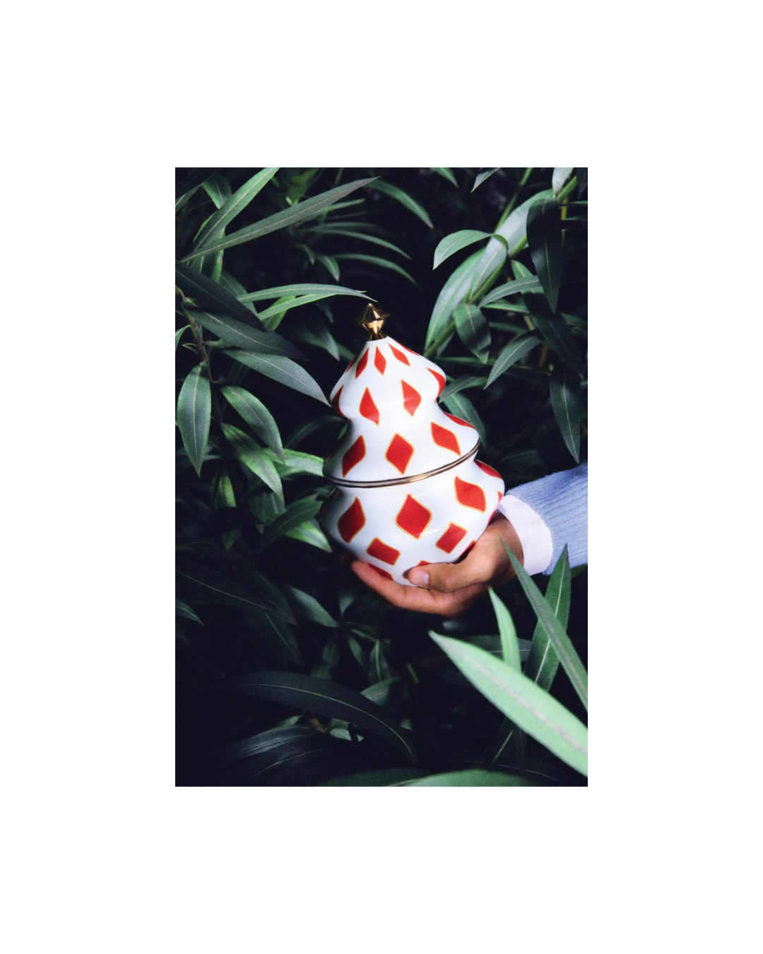 Delight Container For Sweets