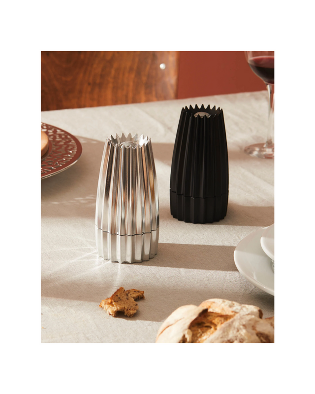 Salt, Pepper And Spice Grinder