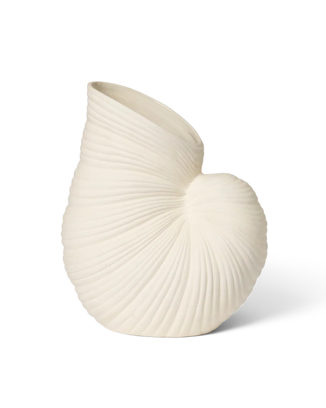 Shell Vase - Off-White