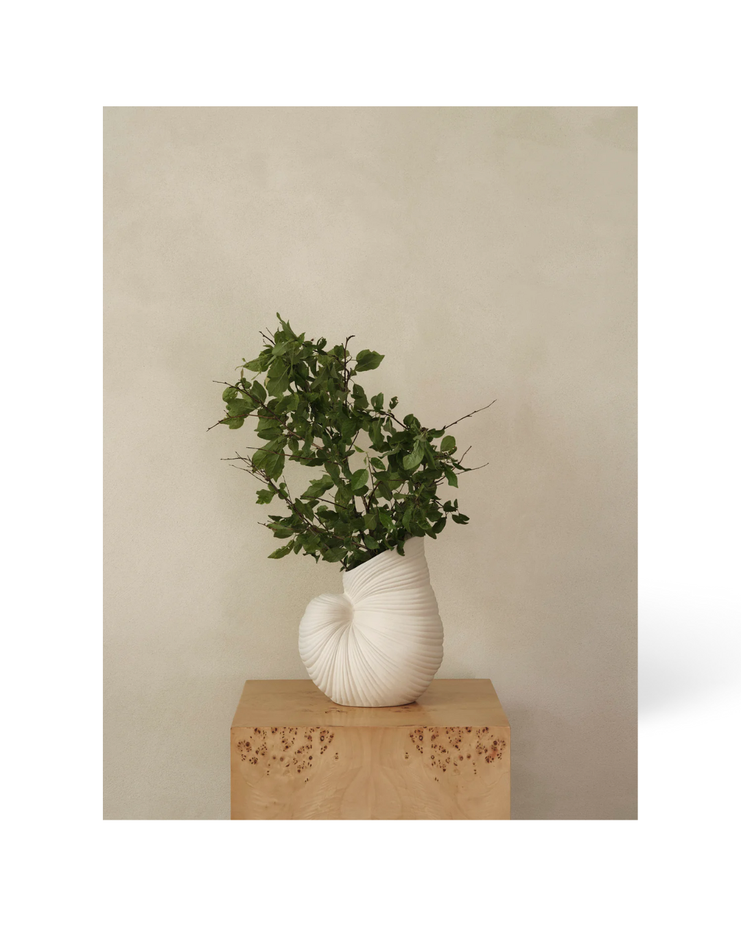 Shell Vase - Off-White