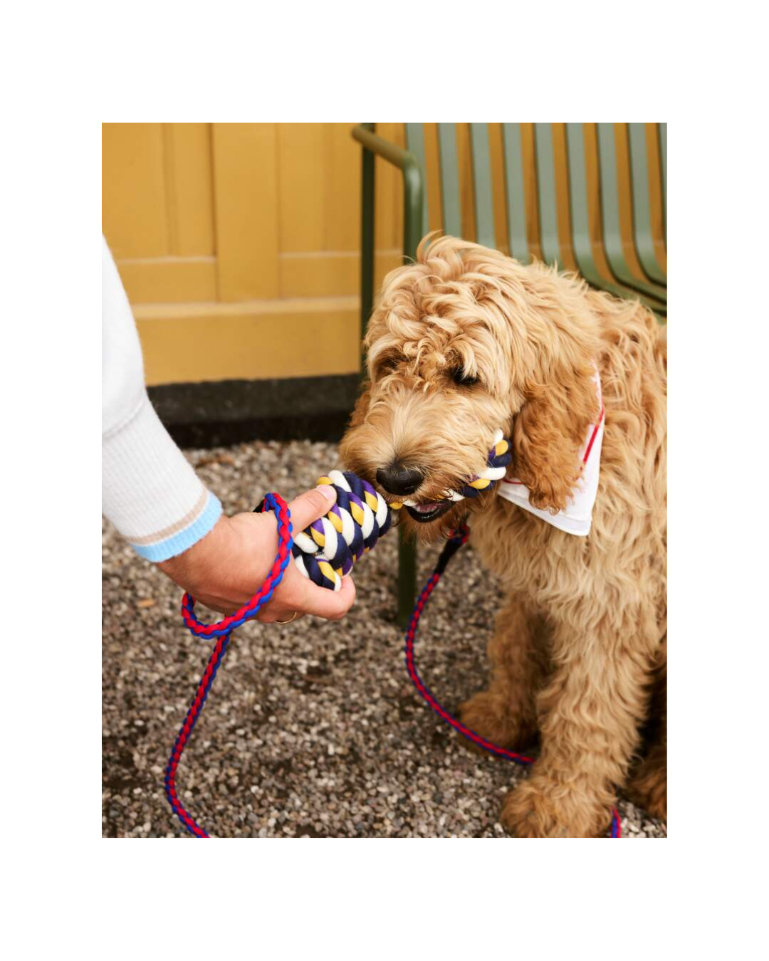 Dogs Rope Toy