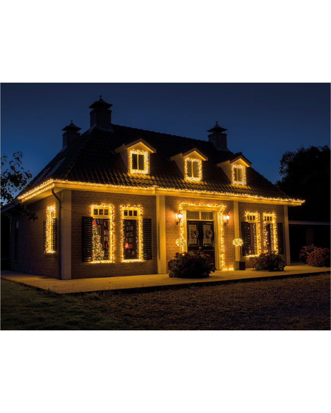 Leds Connect Compact Lights 8 Function Twinkle Effect Outdoor (11 M)