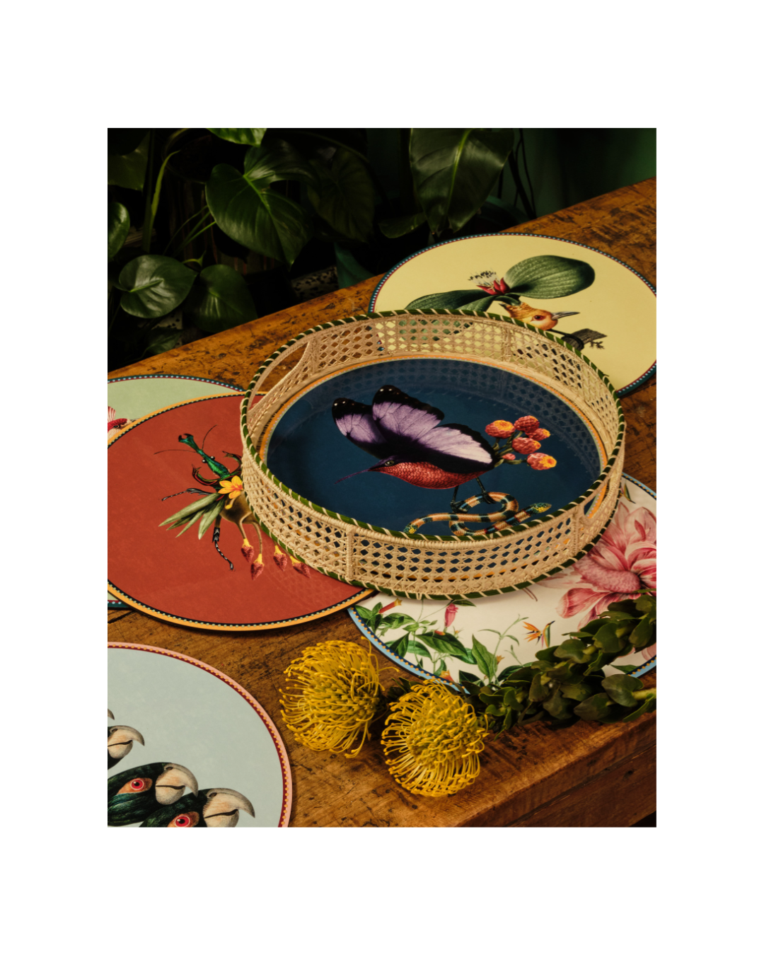 Leafbug Brick in Cork Disk Placemat