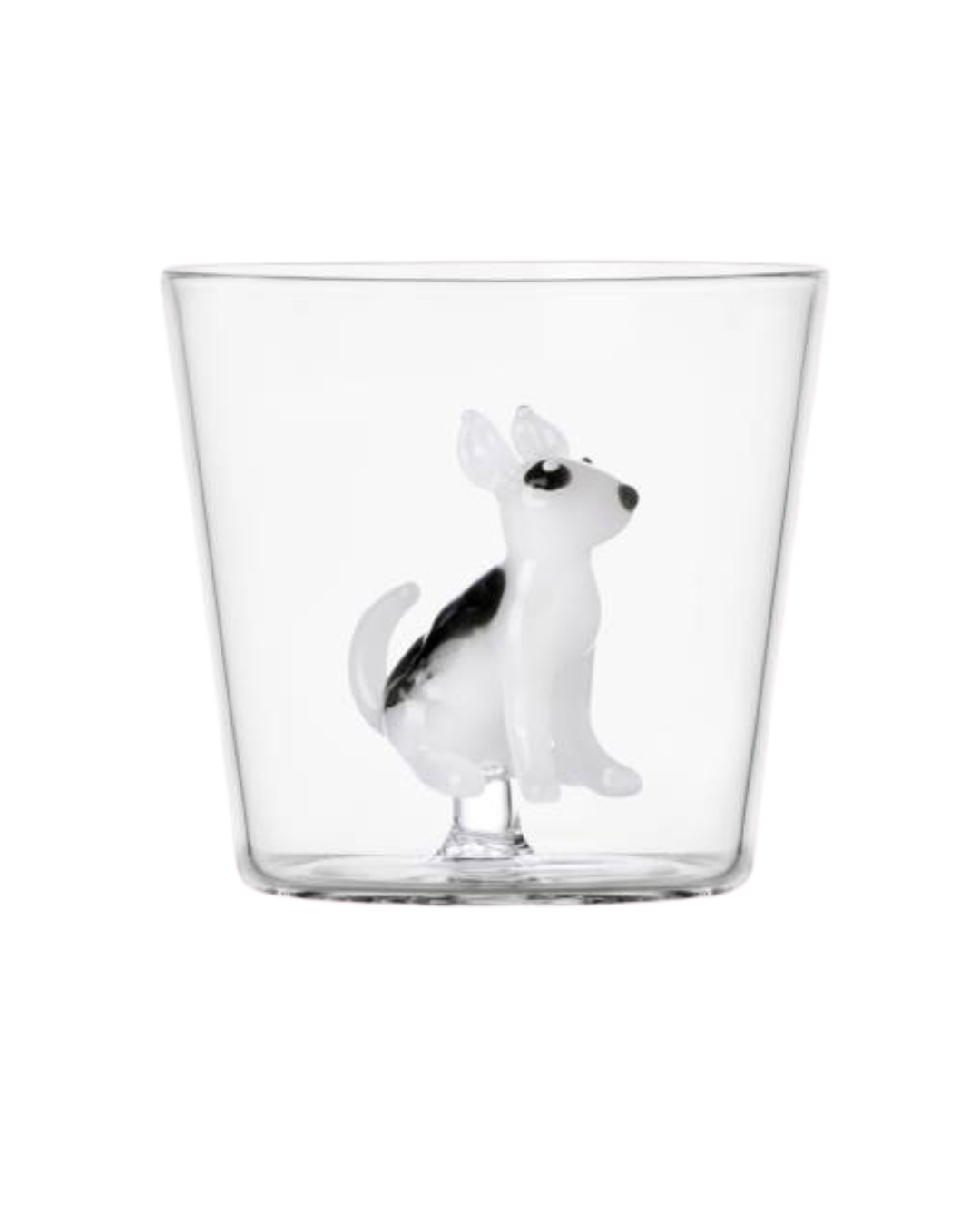 Tumbler Bull Terrier