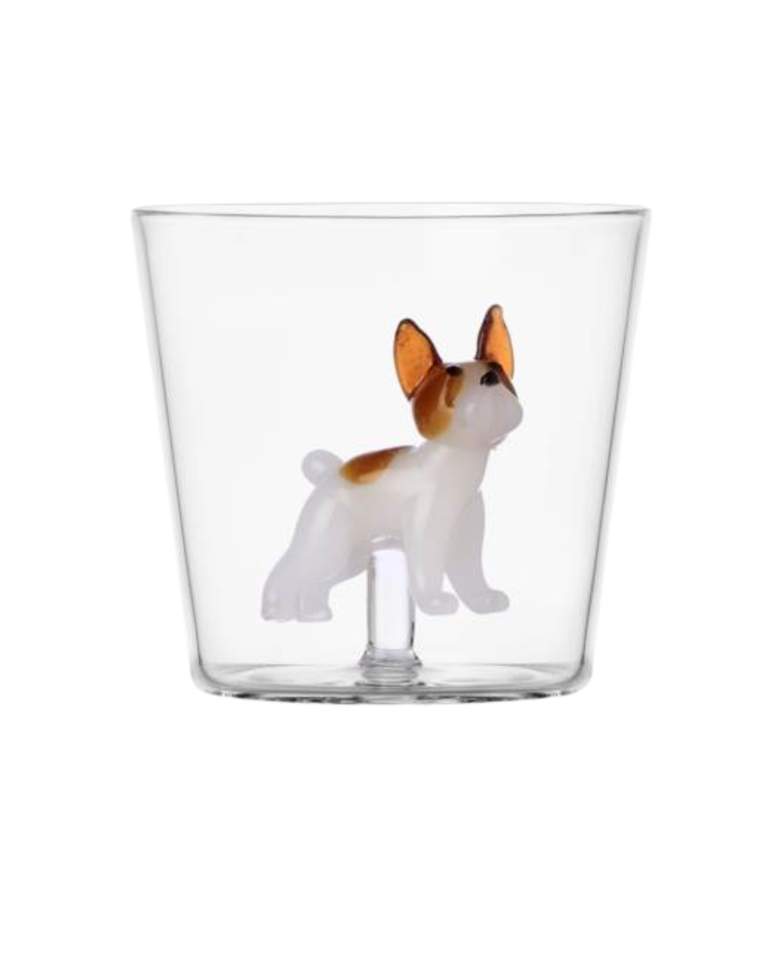 Tumbler French Bulldog