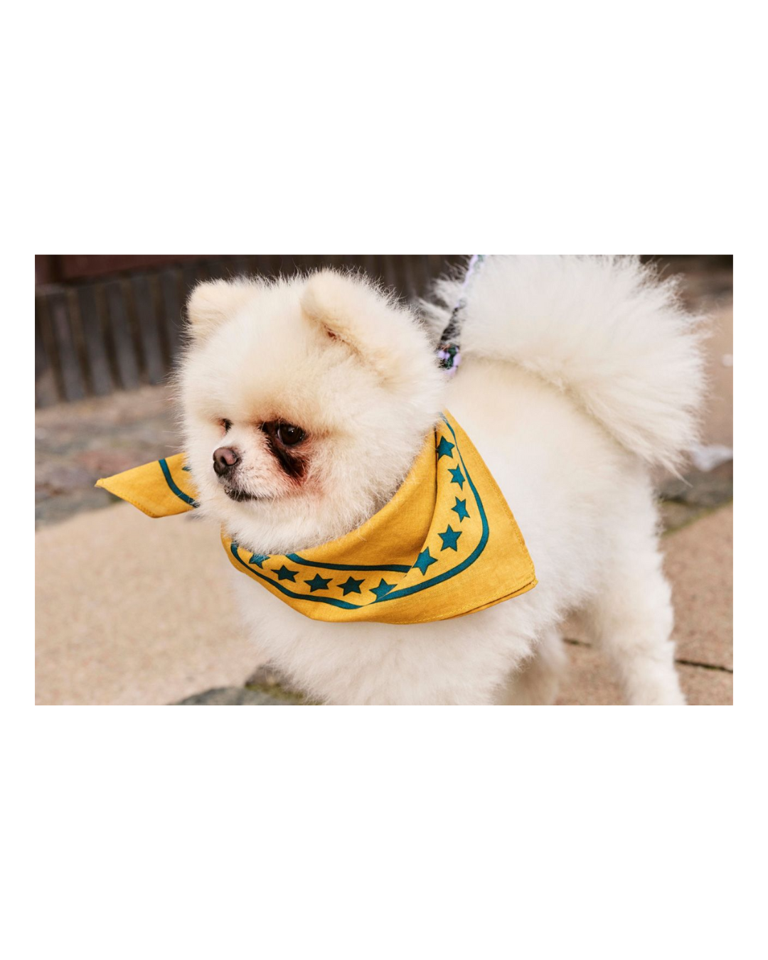 Hay Dogs Scarf Ochre