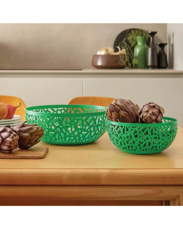 Fruit Bowl Cactus (21 Cm)