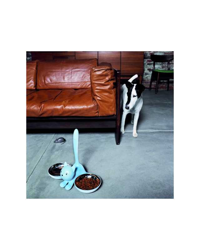 "Tigrito" Cat Bowl