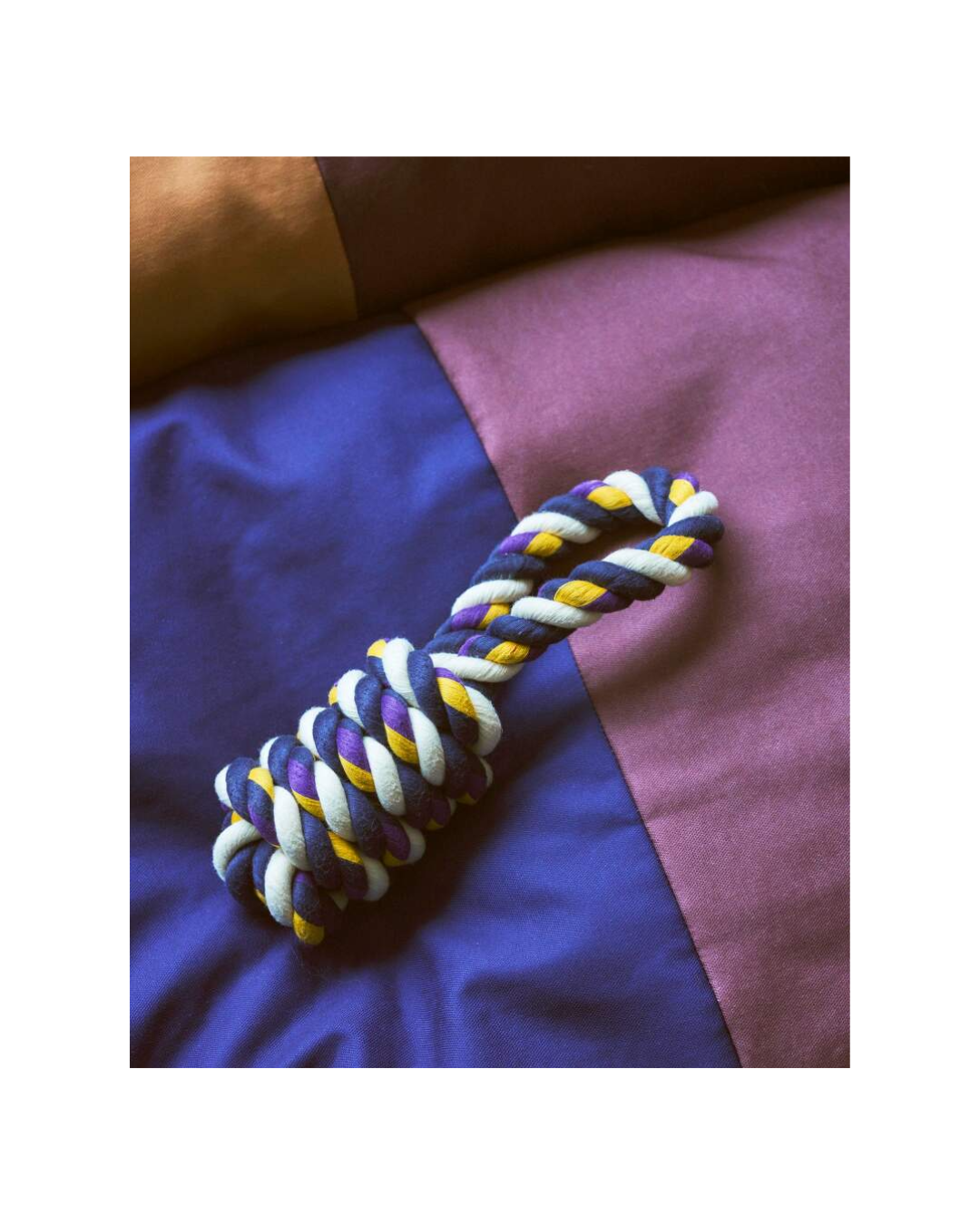Dogs Rope Toy
