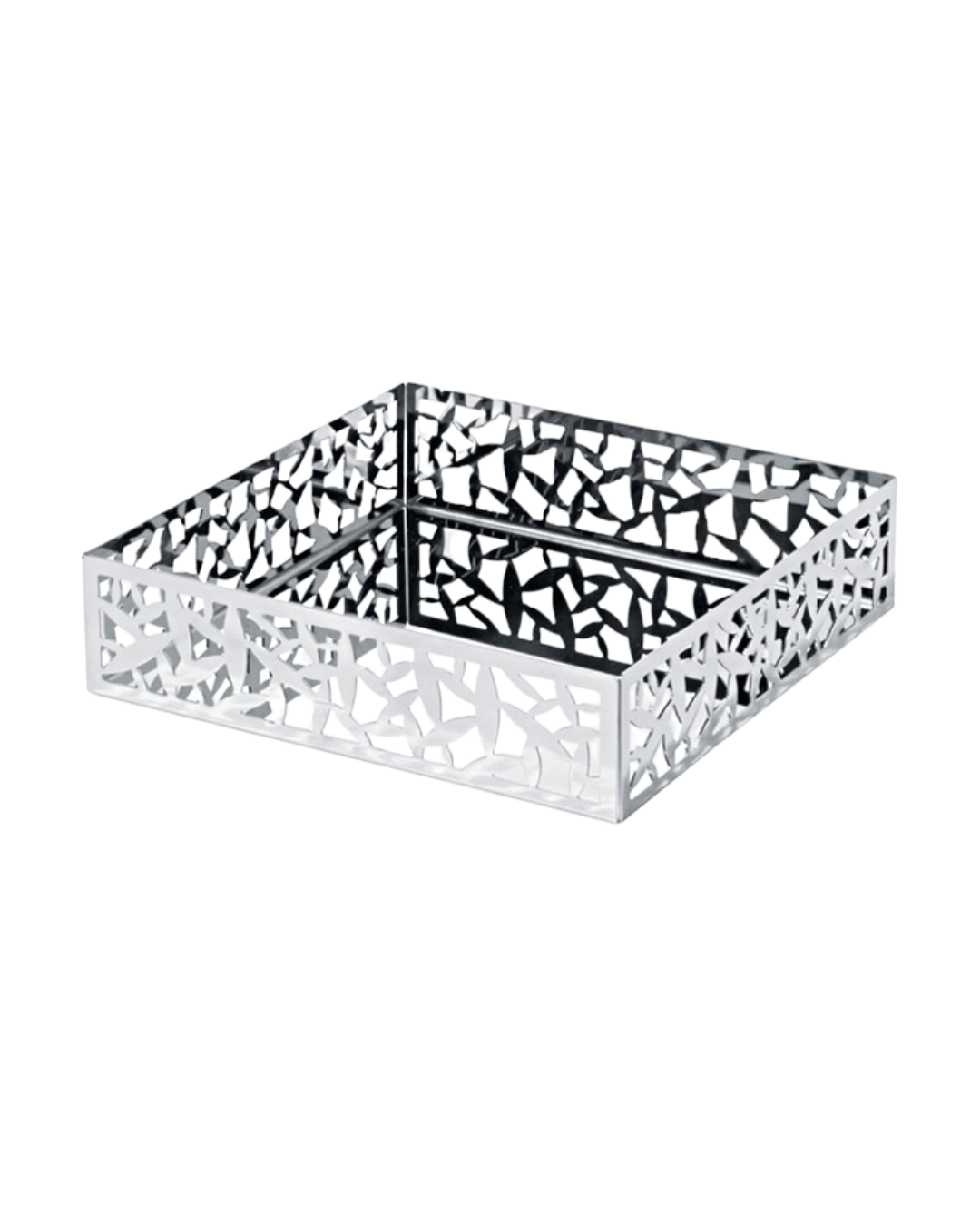 Cactus! "Paper Napkin Holder"