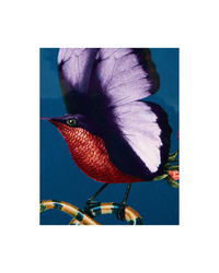 Butterbird Navy in Cork Disk Placemat
