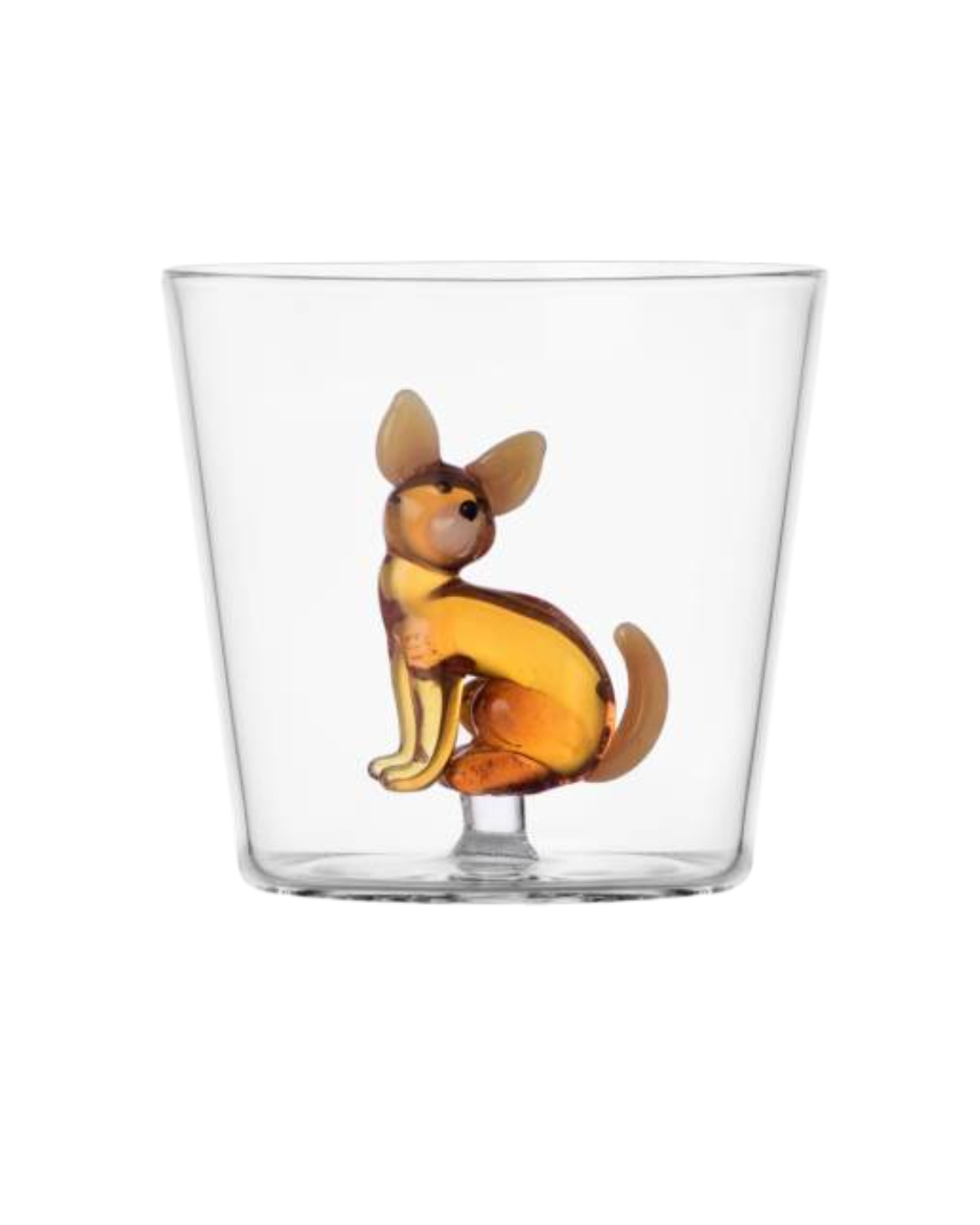Tumbler Chihuahua