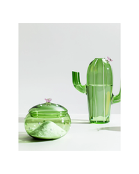 Desert Plants Box Green Cactus Pink Flow