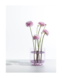 Fio Pink Medium Vase BASE With Fio Medium Aluminum Vase Frog