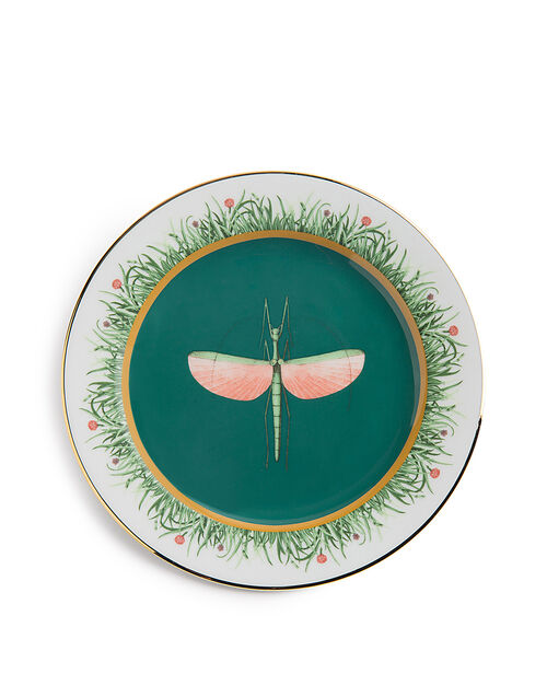 SOUP AND DINNER PLATES SET OF 2,  LIBELLULA