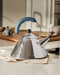 Kettle With Handle And Design Bird Whistle In Stainless Steel