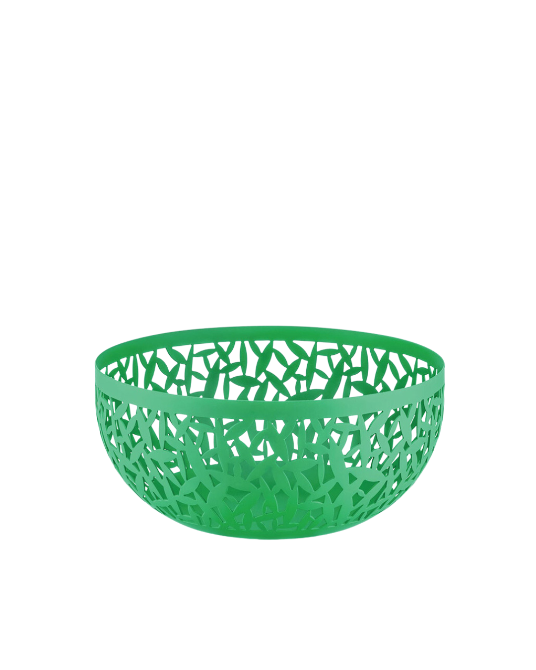 Fruit Bowl Cactus 21cm