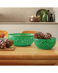 Fruit Bowl Cactus 21cm