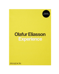 Olafur Eliasson, Experience