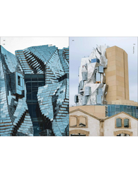 Design Monograph: Gehry